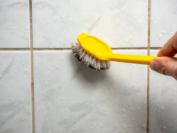 Best Local Mold Removal Service  in Carrizo Hill, TX