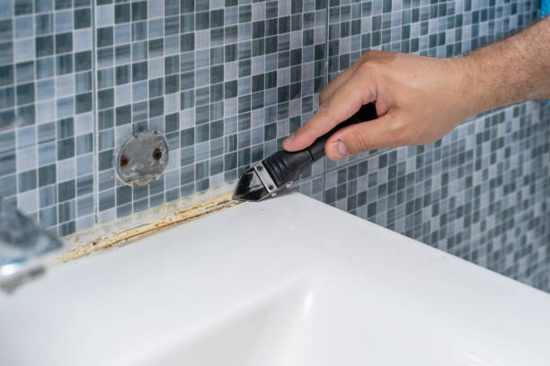 Best Residential Mold Removal  in Carrizo Hill, TX